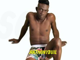 ANTHONYBUIL