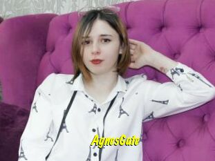 AgnesGate