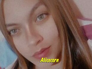 Alicecorn