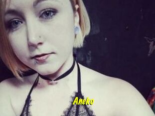 Aneko