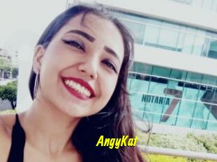 AngyKat