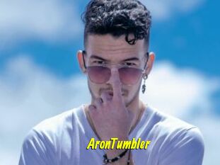 AronTumbler