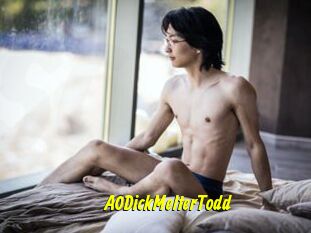 A0DickMelterTodd