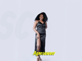 Agnesawuor