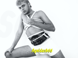 Agnidush66