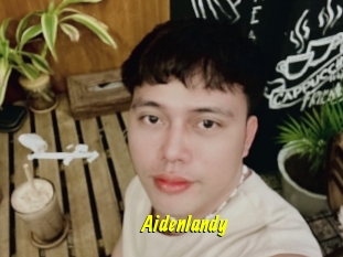 Aidenlandy