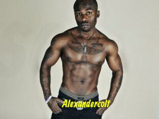 Alexandercolt