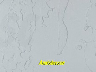 Annisbeeson