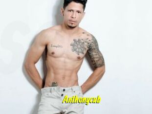Anthonycub