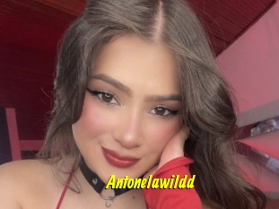 Antonelawildd