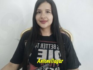 Antonellagar