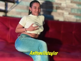Anttonellataylor