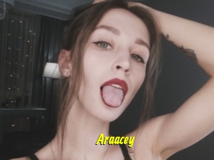 Araacey