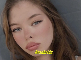 Areabridz