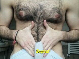 Bearcat