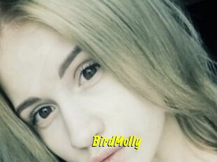 BirdMolly