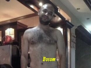 Bosom