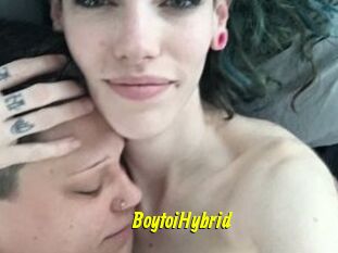 BoytoiHybrid