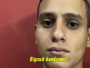 Bigcock_handsomes