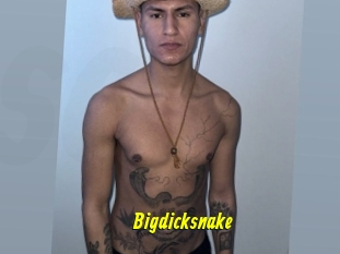 Bigdicksnake