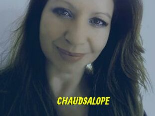 CHAUDSALOPE