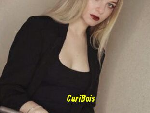 CariBois