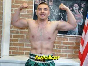 CarlitoBoxer