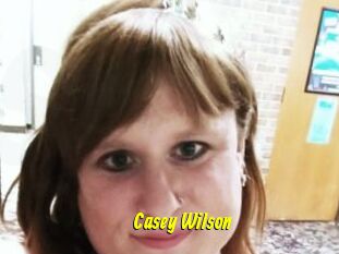 Casey_Wilson