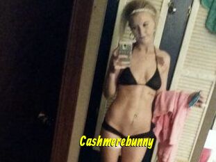 Cashmerebunny