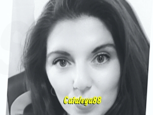 Cataleya88