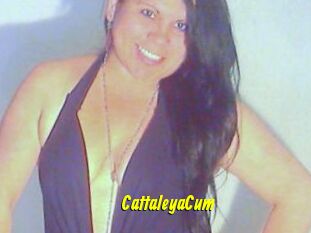 CattaleyaCum