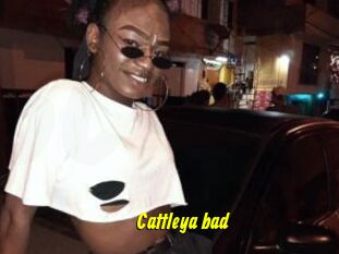 Cattleya_bad