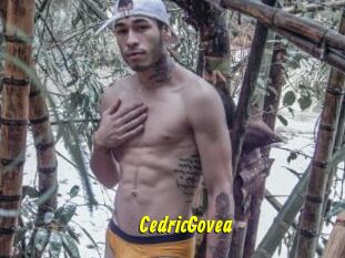 CedricGovea