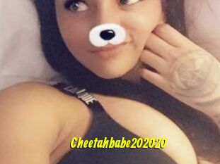 Cheetahbabe202020