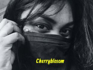 Cherryblosom