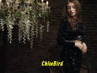 ChloeBird