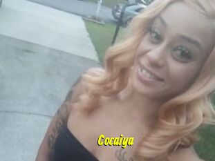 Cocaiya