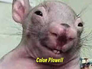 Colon_Plowell