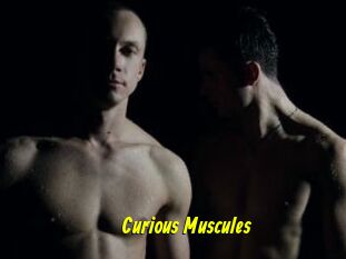 Curious_Muscules