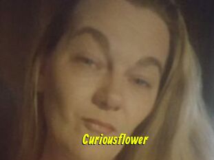 Curiousflower