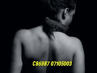 C86987-07105003