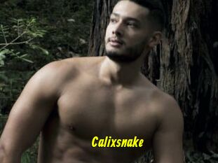 Calixsnake