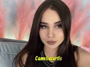 Cameliacurtis