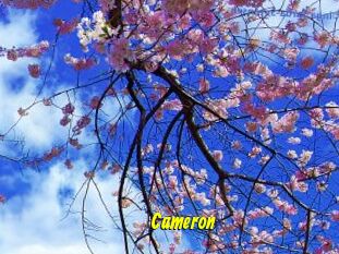 Cameron
