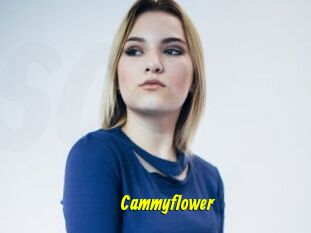 Cammyflower