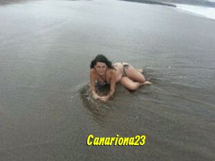 Canariona23