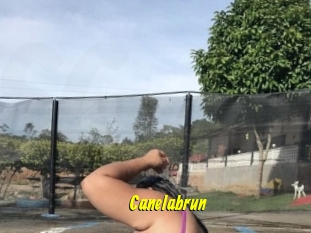 Canelabrun