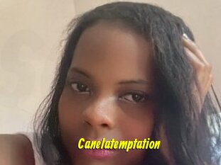 Canelatemptation