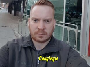 Cangingie