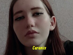 Caranice